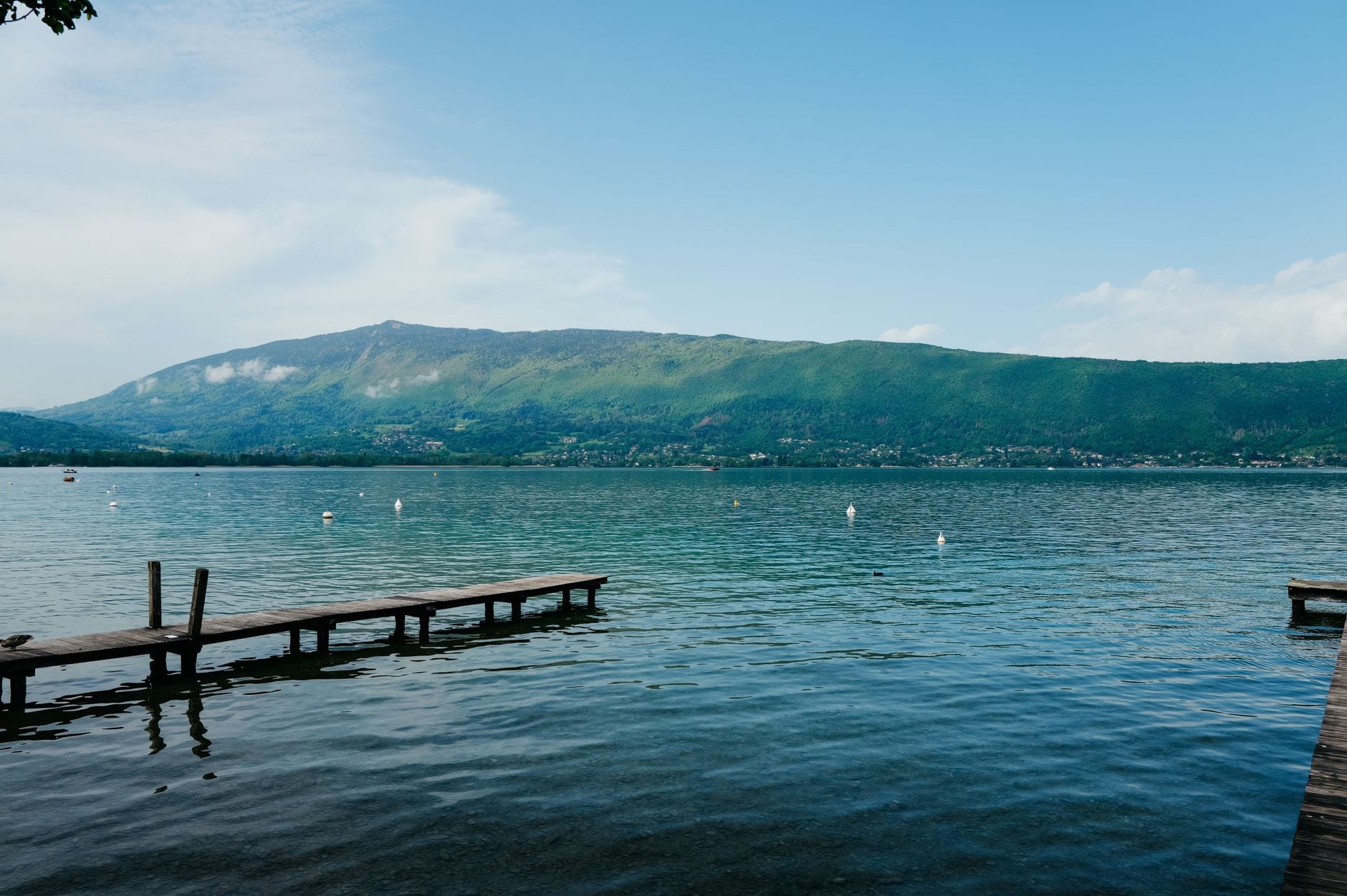 coaching dirigeant annecy bureau nature